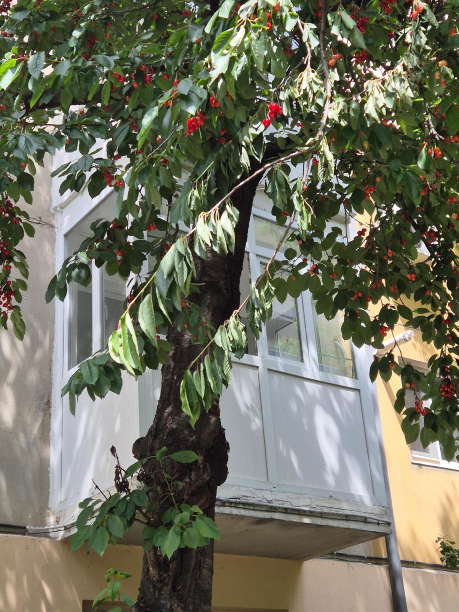 Apartament Rovine Craiova Bagian luar foto